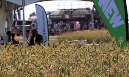 A low angle shot from a live agriculture event