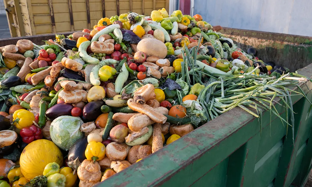 Waste food, mostly vegetables thrown in a garbage bin.