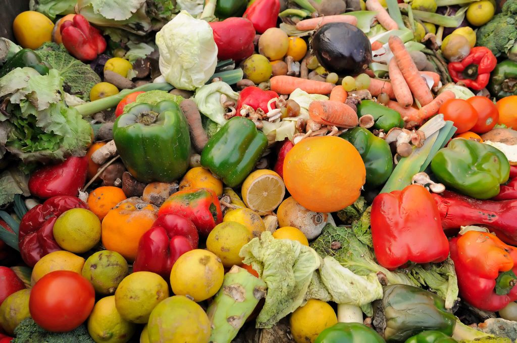 Waste food, mostly vegetables thrown in a heap.