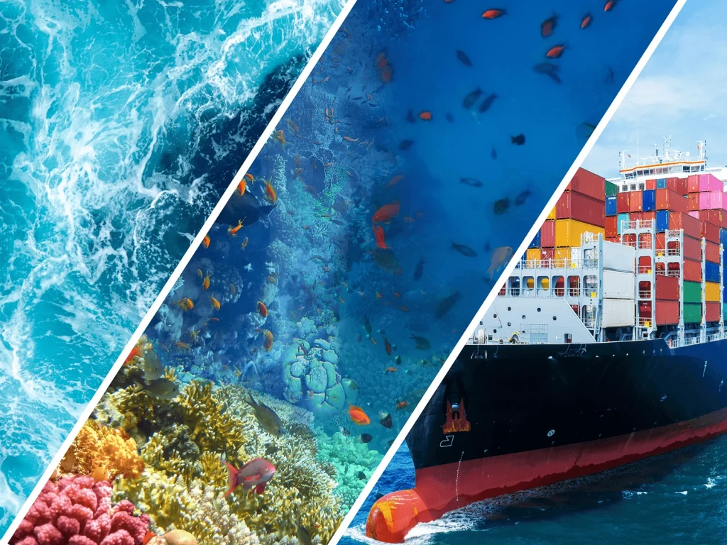 An image showing part of a cargo ship and part of the deep parts of the ocean