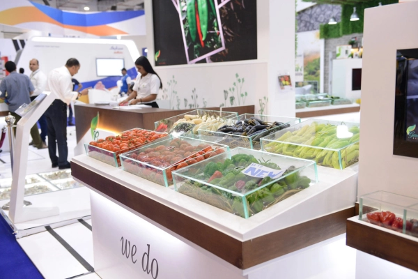 sahara32_food