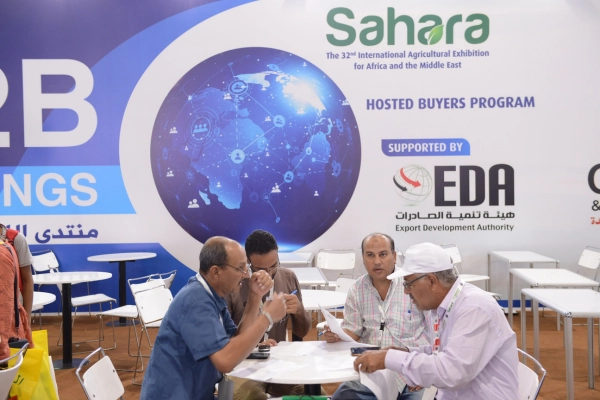 sahara32_globe