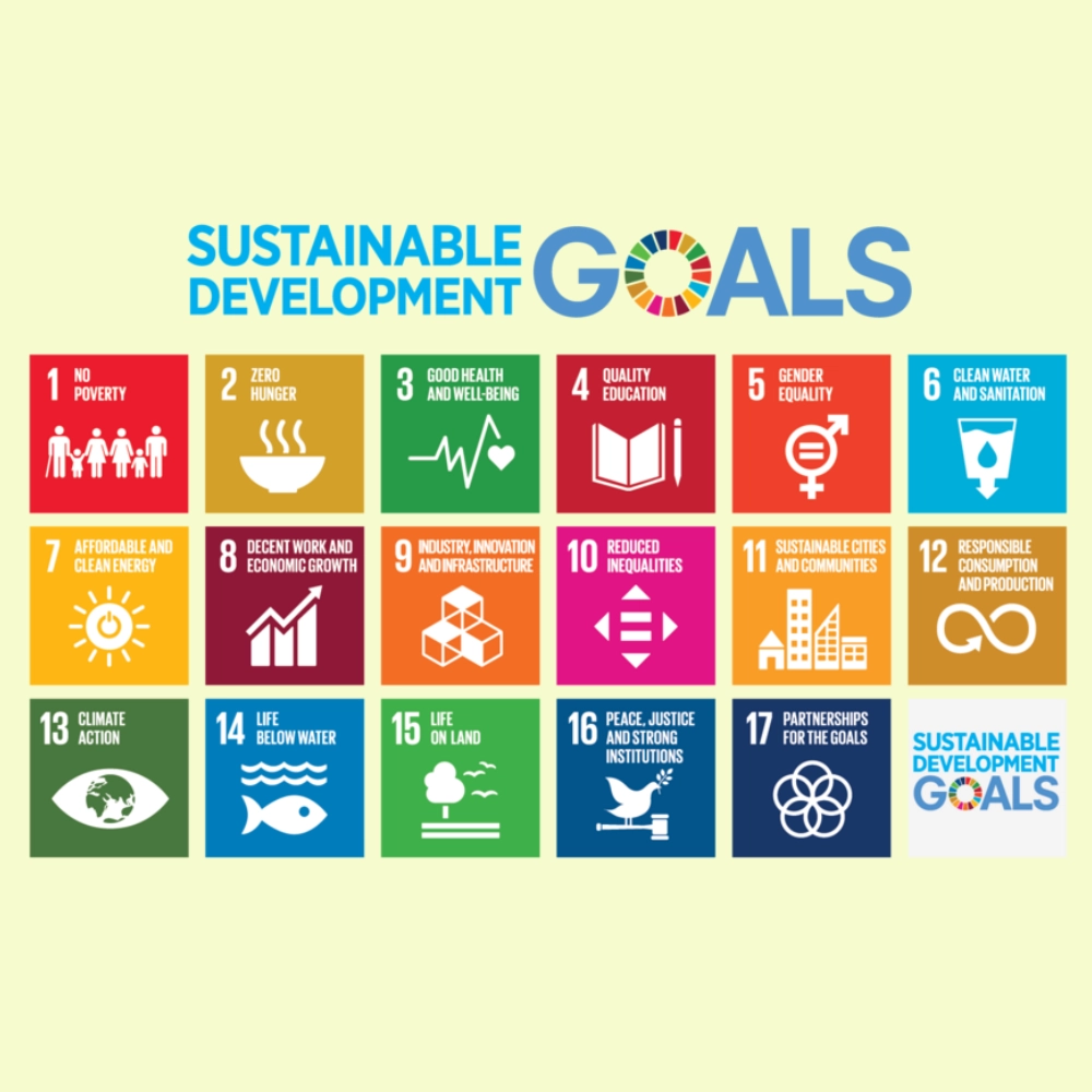Sustainable Development Goals 2030