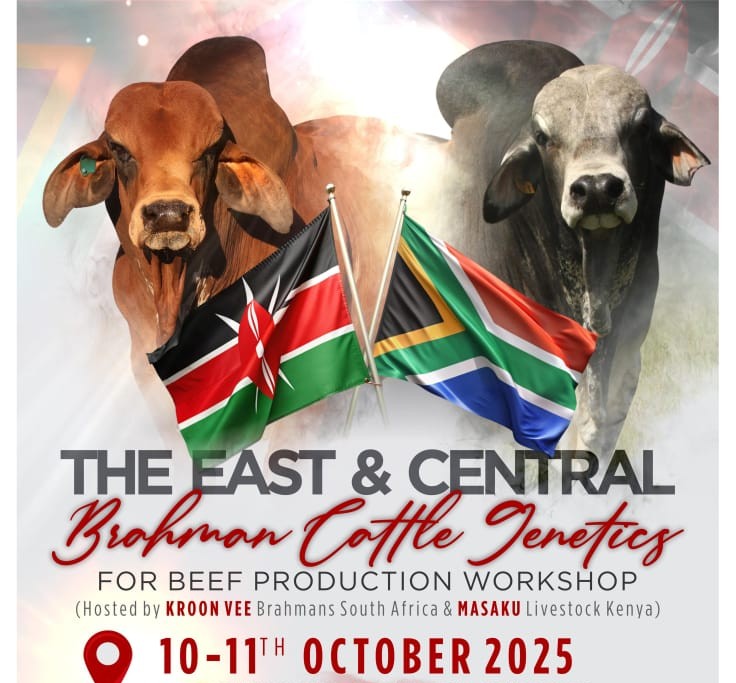 The East and Central Brahman Beef Cattle Genetics Workshop poster