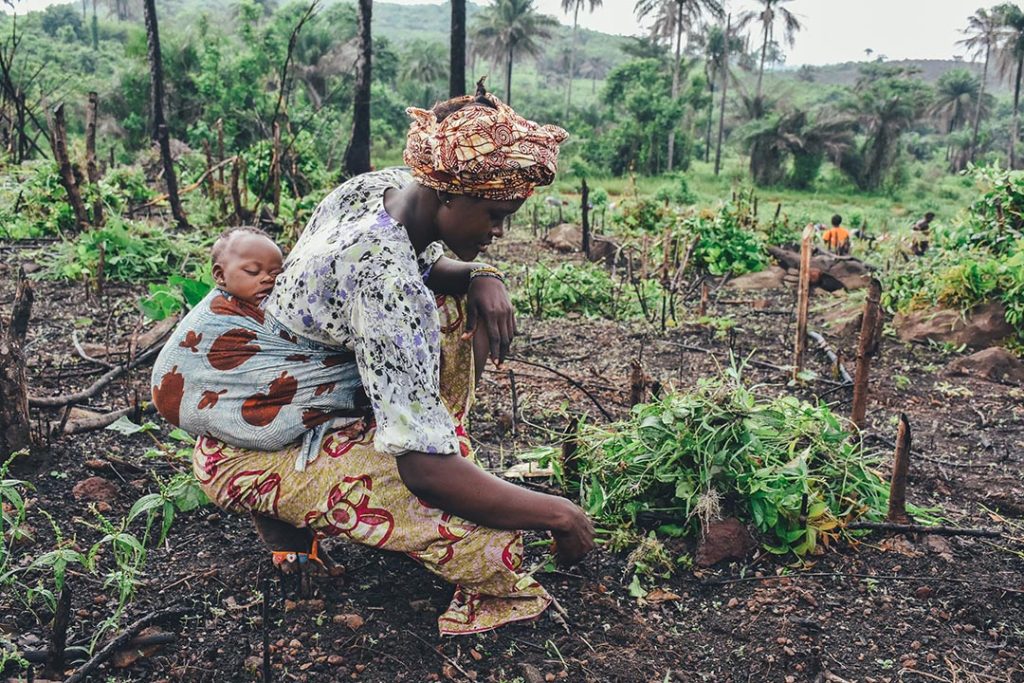 A woman with a sleeping baby on her back crouches down looking at some plants in a rural setting farm