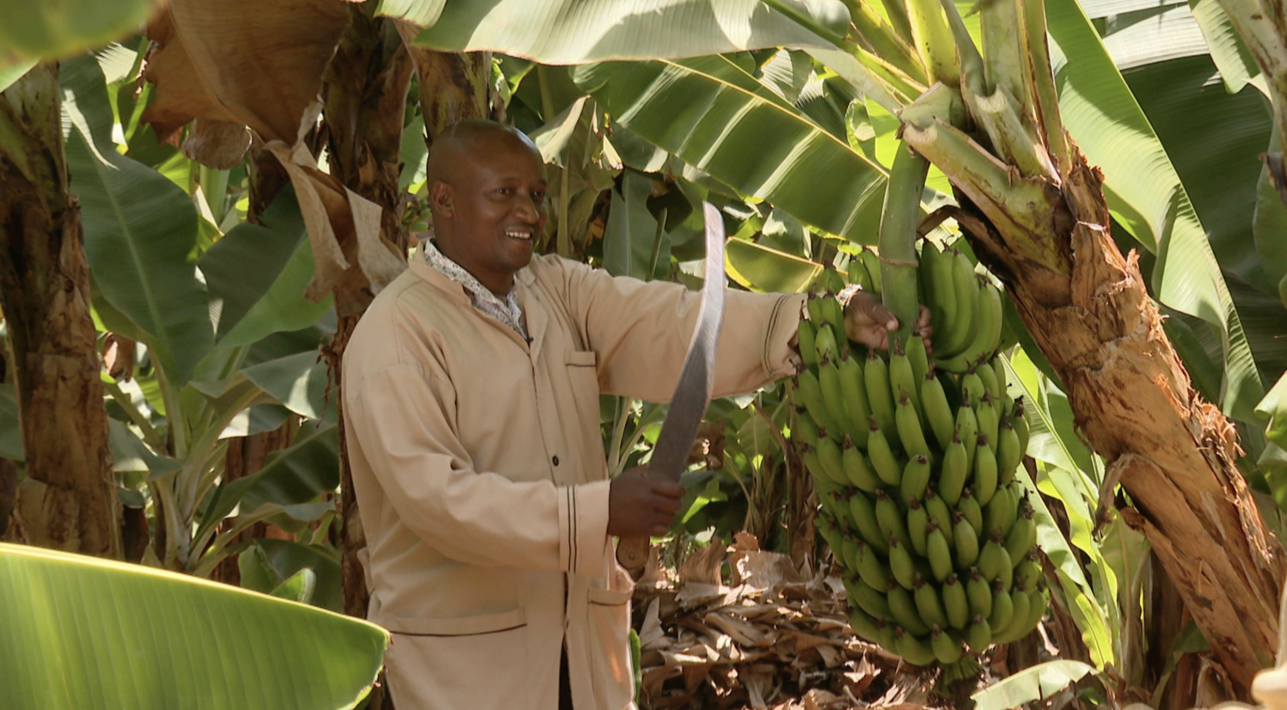  Reuben Kabue - Director, Natural Ways Food Supplements Limited.