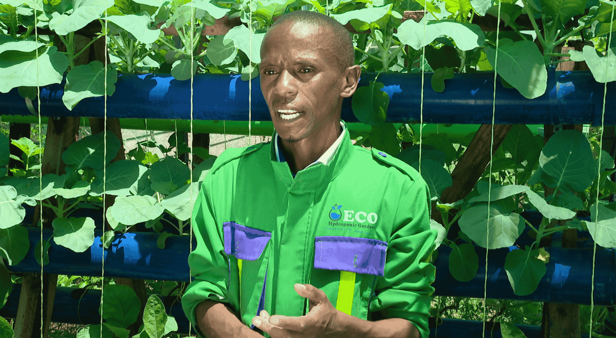 Daniel Wanderi - Founder and Chief Executive Officer