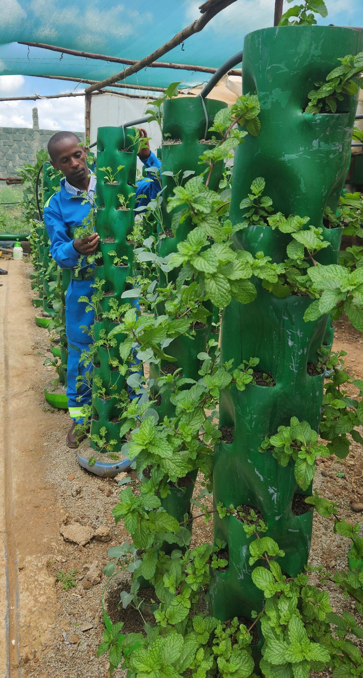 Vertical Tower Gardens