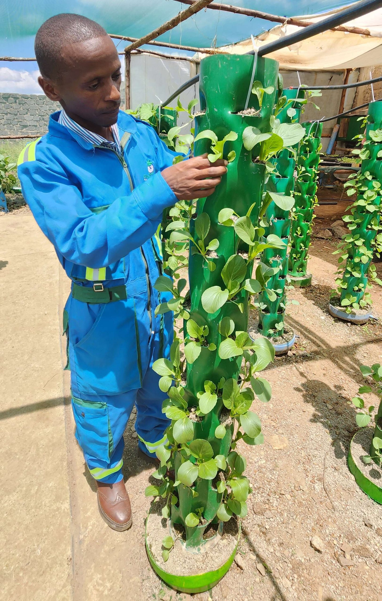 Vertical Tower Garden